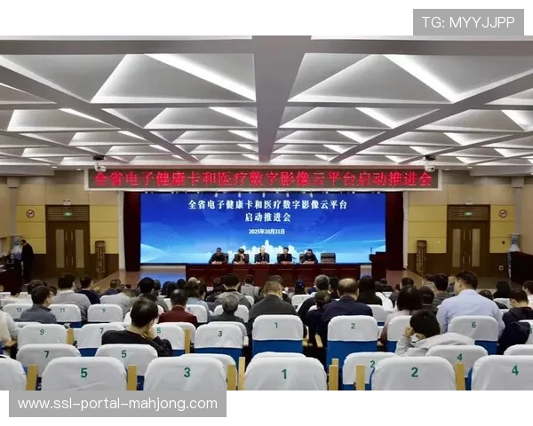 电子健康记录系统对接，运动员医疗保障连续性保障